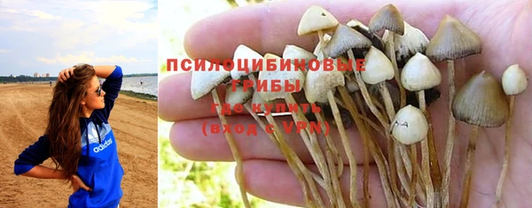 марихуана Покачи